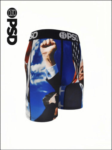PSD USA BRIEF