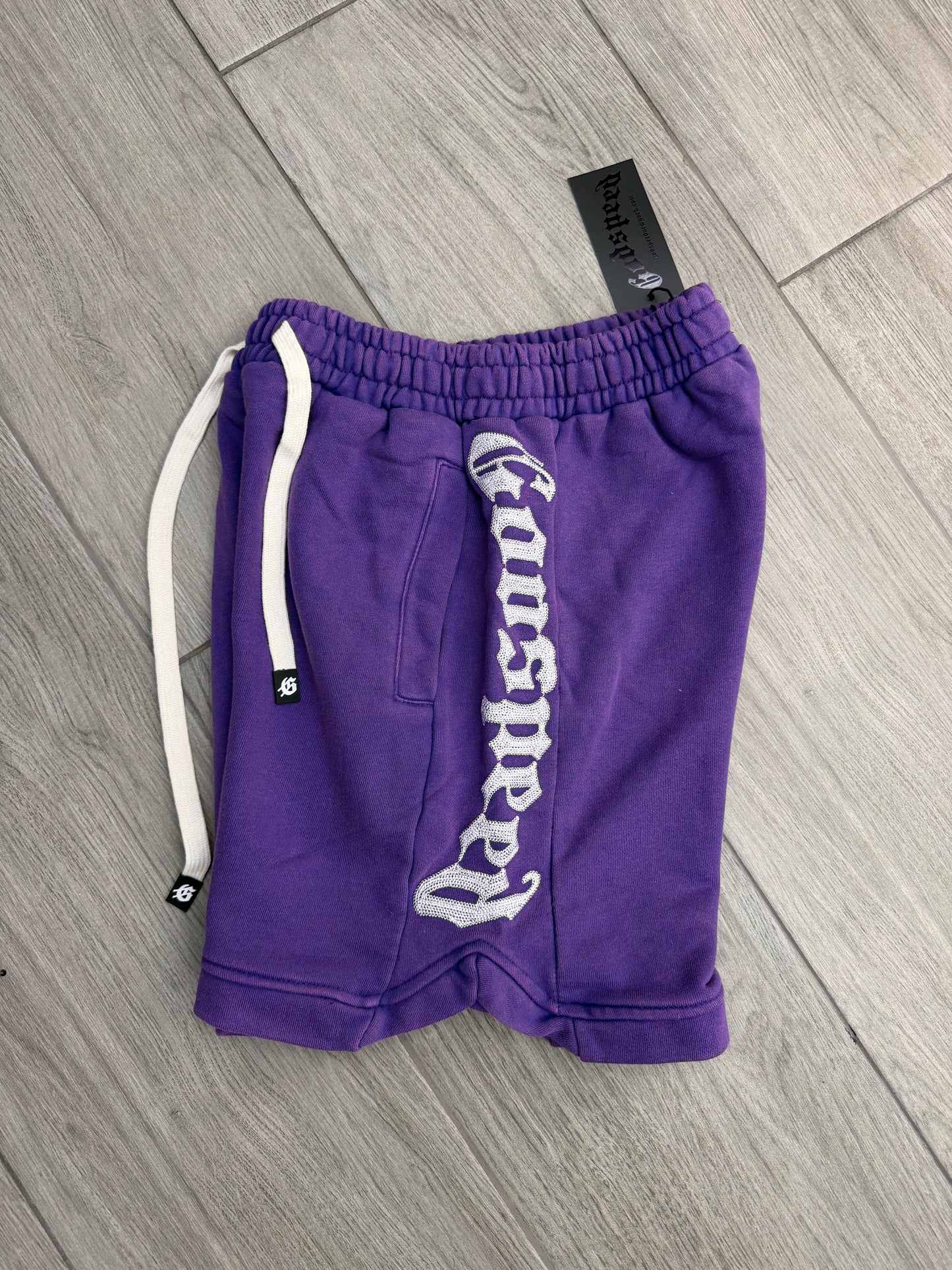 Godspeed Mens Courtside Shorts Purple