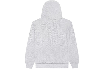 SPIDER VVS HOODIE HEATHER GREY