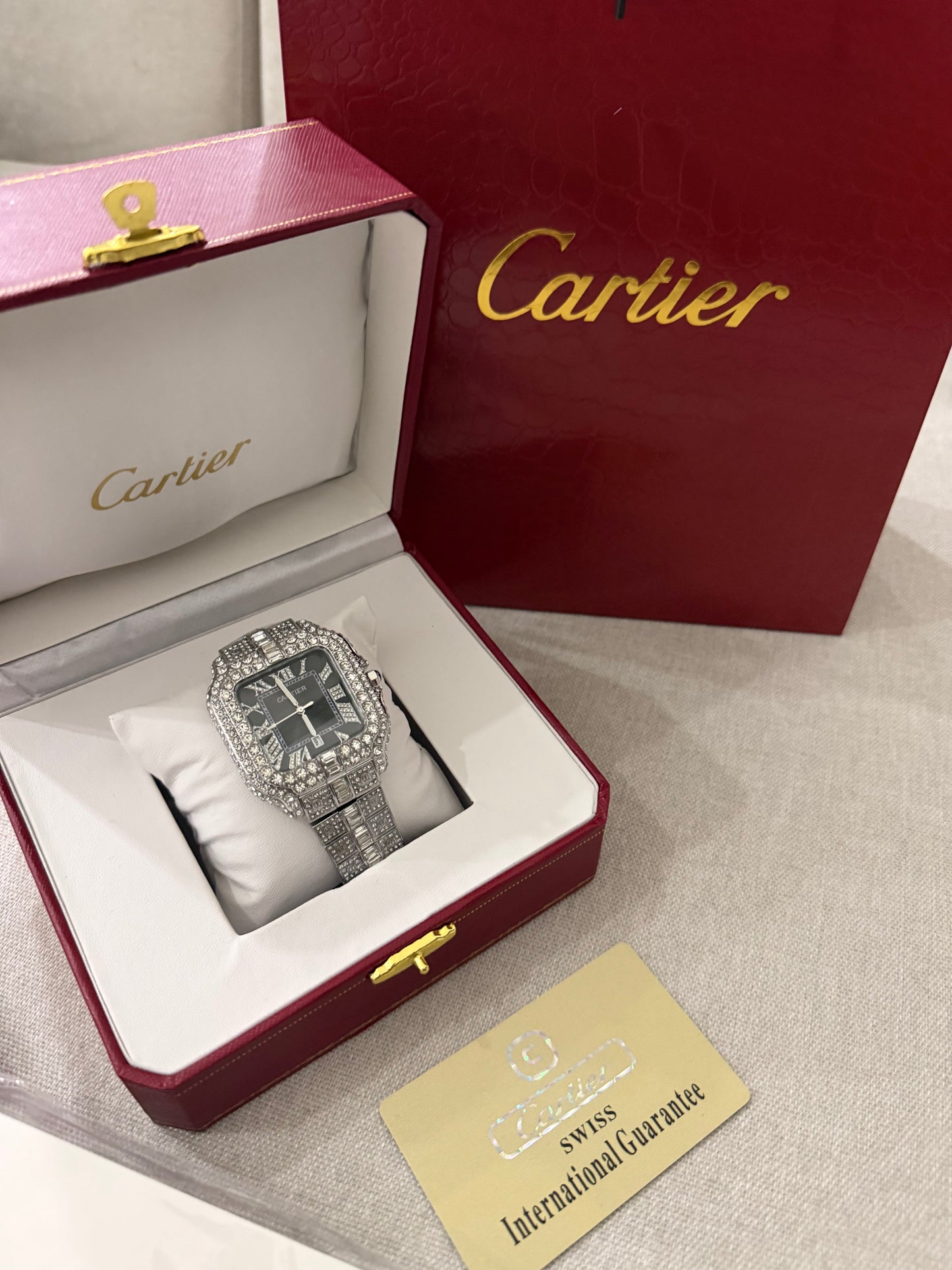 CARTIER Stone Quartz Watch | CRTR STN 500 C