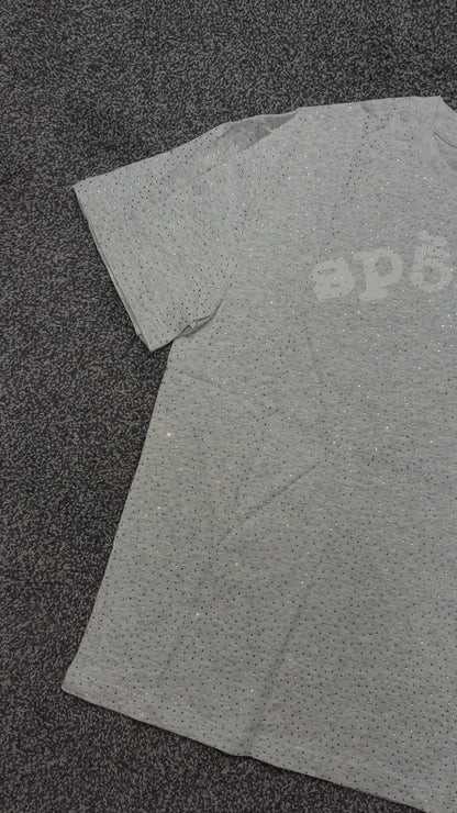 Spider VVS grey Tshirt